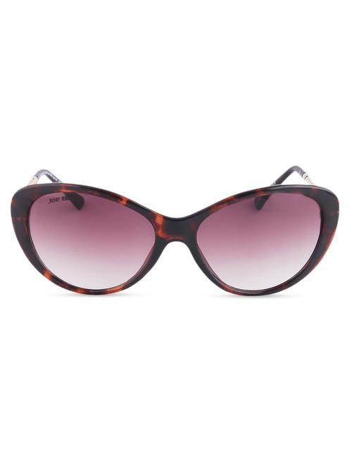stylish spiral rim cat eye sunglasses - 1051298 - Very Small Image - 1