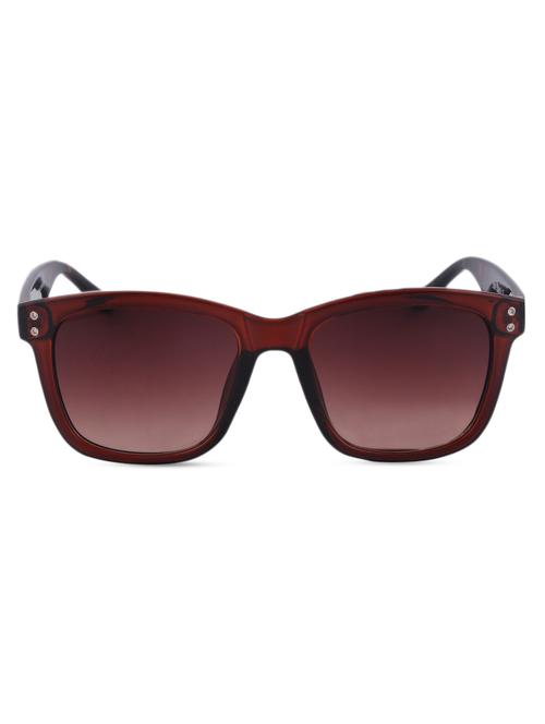 brown wayfarer sunglasses size:- 51 - 1051404 - Very Small Image - 1