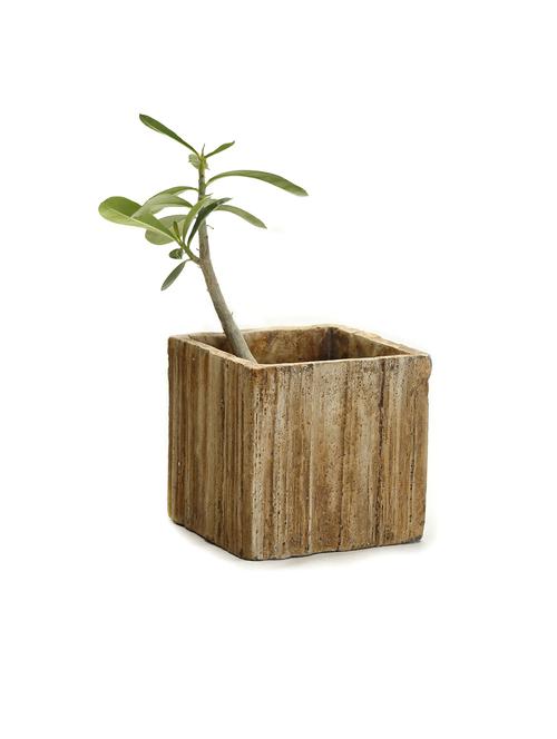 Square Tree Bark Look Rough Finish Stone Pot - 10958428 - Very Small Image - 1