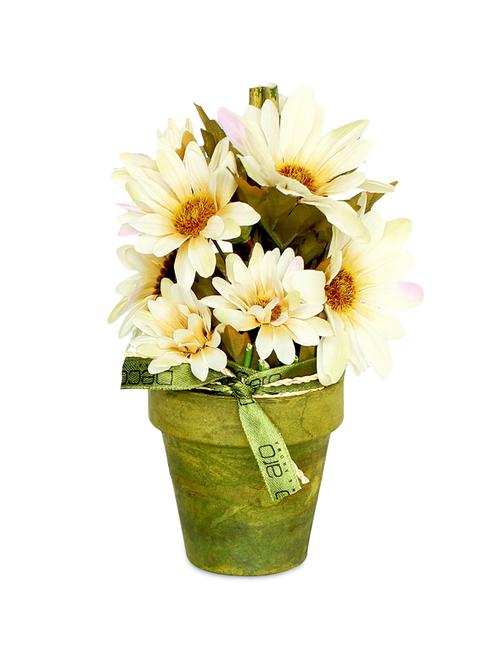 white paper pot arrangement - 1201634 - Very Small Image - 1