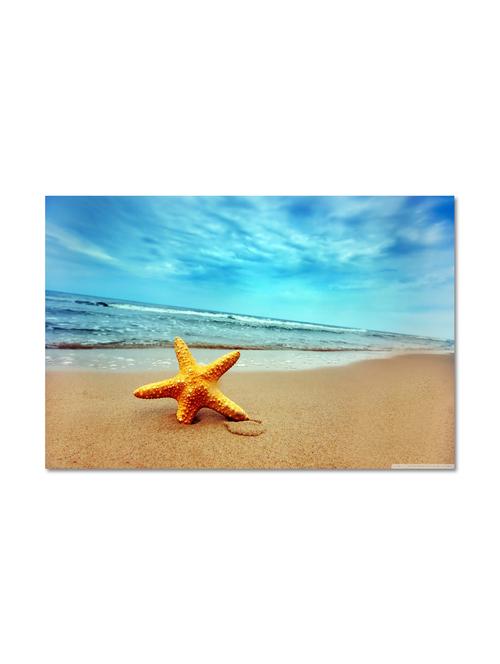 multicolored matte finish paper star fish on seashore poster - 1325520 - Very Small Image - 1