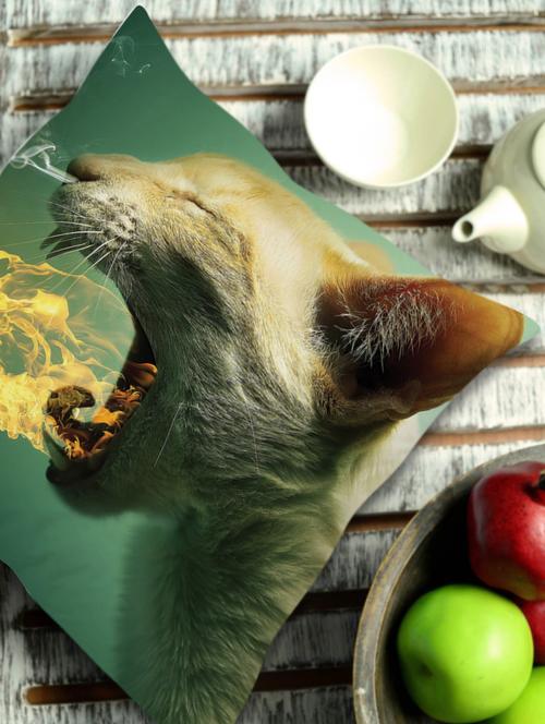 smoking cat cushion cover - 930183 - Very Small Image - 1