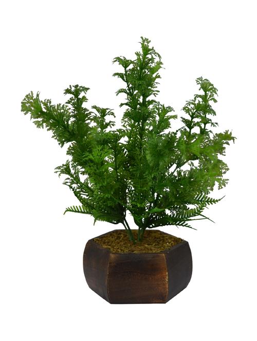 thefancymart artificial coriander  bush in wood hexagun pot (25 cm/ 10 inchs)-1537 - 14144029 - Very Small Image - 1