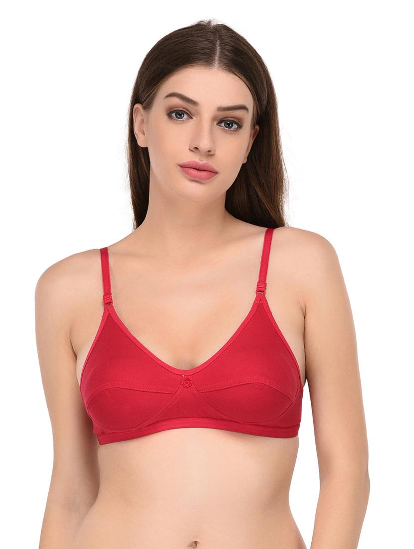 pack of 2 solid t-shirt bra - 20627168 - Zoom Image - 4